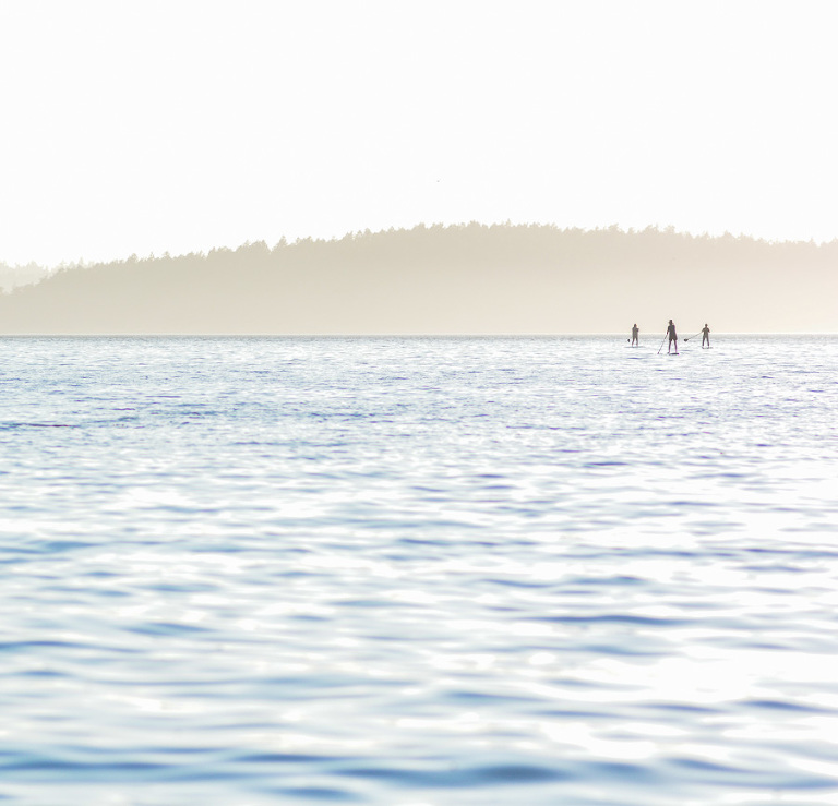 stand up paddleboard san juans, sup sji